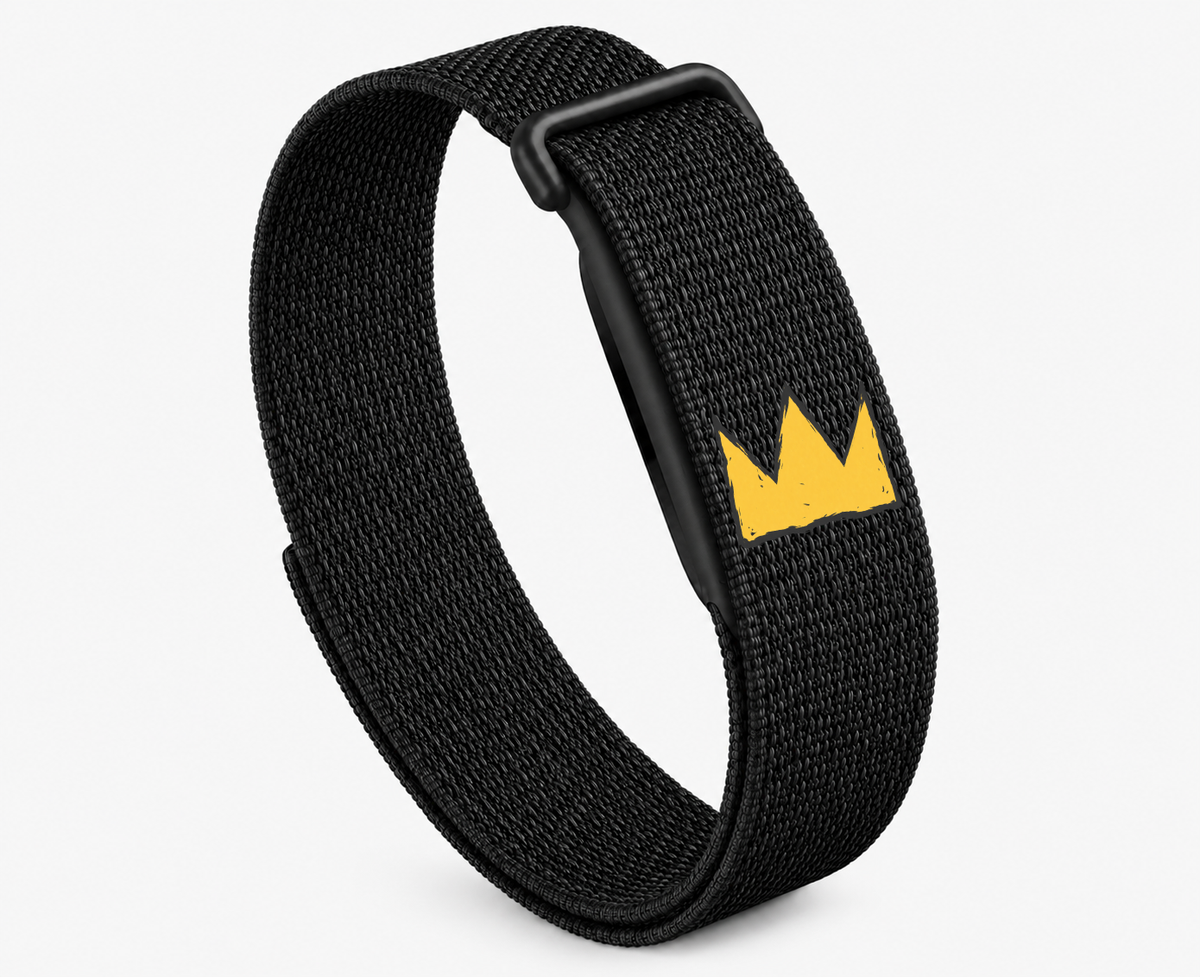 Google Fitbit Air Crown Band