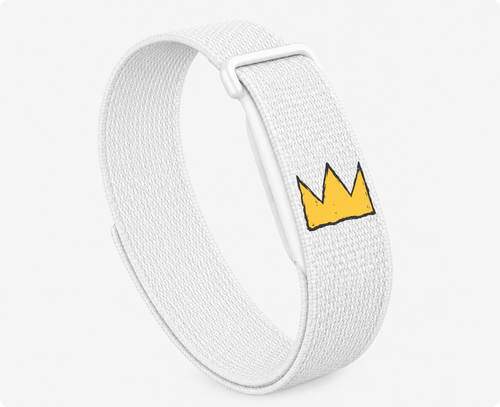Google Fitbit Air Crown Band