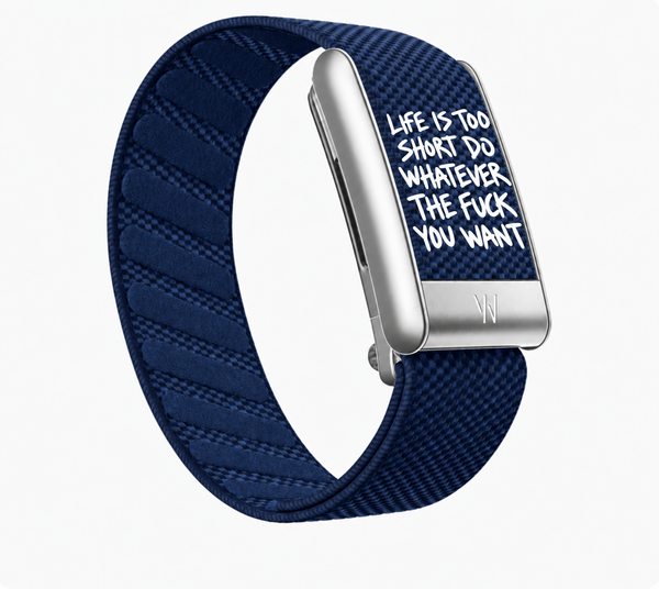 Navy / Silver