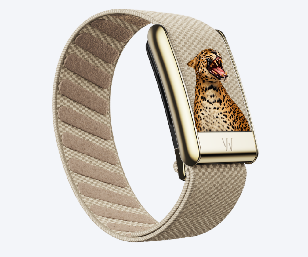 Cheetah Whoop band