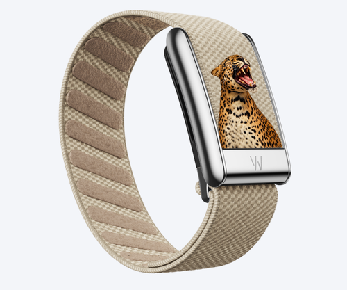 Cheetah Whoop band